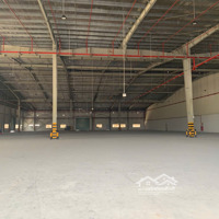 Cho Thuê Kho Quận 8. Diện Tích Từ 1.000M2, 2000M2, 5000M2, 8.000M2, 10000M2. Hệ Thống Pccc Tự Động