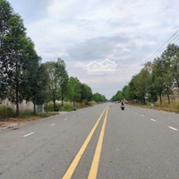 Bán Nhanh Lô Đất 600M2 Giá Bán 400 Triệu, Đang Cho Thuê 4 Triệu/Tháng, Ngay Khu Công Nghiệp Minh Hưng Hàn Quốc