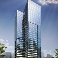 Bán Đất Đẹp Tại Kim Mã, Ngọc Khánh, Ba Đình, Hà Nội, 250 Tỷ, 1000M2