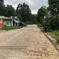 Cuối Năm Kẹt Tiền Trả Nợ!!! Chủ Bán Nhanh Lô Đất 300M2 Full Thổ Mỹ Phước Bến Cát Giá 640 Triệu