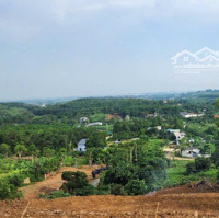 4900M2 Có 150M Tc Còn Lại Là Đất Vườn View Cao Thoáng Nhìn Toàm Bộ Cánh Đồng. Giá Yêu Thương 1X,Xt