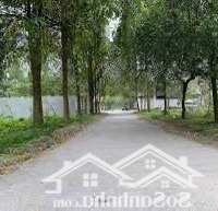 Bán Dn 362M2 Tại Hà Phong, Giá Ưu Đãi 60 Triệu Vnd