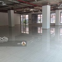 Mặt Bằng Tòa 67 Trần Phú (8B Lê Trực) Ngân Hàng, Showroom, Cafe... 85M2, 150M2, 1000M2. Giá 650N/M2