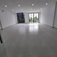 Cần Cho Thuê Biệt Thự Mới Tinh Khu Him Lam, Quận 7, Giá Chỉ 75 Triệu/ Tháng.