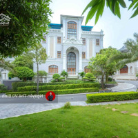Cắt Lỗ Đến 35%, Chỉ 22 Tỷ Sở Hữu Biệt Thự Beverly Hills Diện Tích 310M2 Ngự Đỉnh Hạ Long