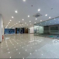 Cho Thuê Showroom Phố Trần Thái Tôngdiện Tích200M2Mặt Tiềnlô Góc 25M Ưu Tiên Siêu Thị, Trưng Bày Chuỗi