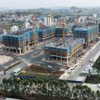 Mở Bán Dự Án Vega Home - Trung Tâm Kcn Quang Châu