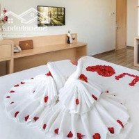 Chuyển Nhượng Khách Sạn 4 Sao View Biển Nha Trang Giá Bán 75 Tỷ