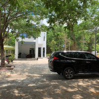 Chính Chủ Cần Bán Lô Đất 122,5M2, Thổ Cư 100%, Sổ Riêng