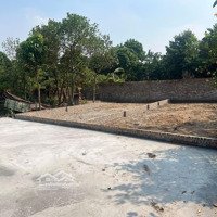 Bán Đất Giao Tất Kim Sơn Giá Rẻ Nhất Thị Trường