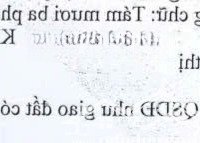 Nhà Mặt Tiền Kinh Doanh Đặng Hữu Phổ Cần Bán Giá Tốt
