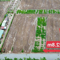 Bán Đất Tại Gần Khu Công Nghiệp Becamex, 3 Tỷ, 10.000M2, Giá Cực Chất, Hot