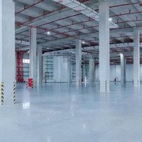 Cho Thuê Kho Xưởng Trong Kcn Xuyên Á, Đh, Long An, Diện Tích : 3.700M2, Pccc Tự Động