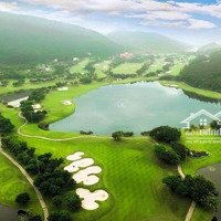 Đất Sân Golf Tam Đảo Cách Dự Án 2500Ha Của Vinhome Chỉ 10Km, Nằm Trong Thung Lũng Du Lịch Tam Đảo