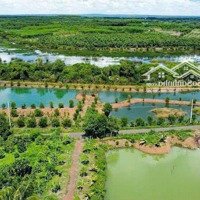 Bán Đất Gấp Tại Xã Tân Tiến, Bù Đốp, Bình Phước, 200 Triệu, 250 M2