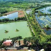 Bán Đất Gấp Tại Xã Tân Tiến, Bù Đốp, Bình Phước, 200 Triệu, 250 M2