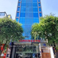 Bán Tòa Nhà Ngaymặt Tiềntrần Hưng Đạo, Quận 5 - Dt: 6 X 20M - Kc: 6 Tầng - Hđt: 200 Triệu - Giá Bán 49 Tỷ