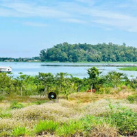 Sở Hữu Nhà Vườn 1000M View Đồi Tại La Ngà Cơ Hội Đầu Tư Sinh Lời Cao, Chỉ 980 Triệu/1000M!