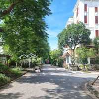 Đất Phân Lô Đấu Giá Tt5 Giang Biên - Riverside Diện Tích: 78M2 Mt5M Đường 13.5M Chỉ 13.Ztỷ