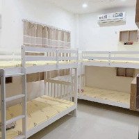 Khu Đất Cực Hiếm Celadon, Bờ Bao Tân Thắng 267M2, Hẻm Xe Tải, 23 Tỷ Hơn - Dòng Tiền 35 Triệu/Thg
