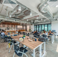 Vip! Chỉ Với 45 Tỷ! Sở Hữu Căn Góc 2Mặt Tiềnlê Văn Sỹ -Diện Tích8X20M, Hầm + 7 Tầng - Hđt: 150 Triệu/Tháng