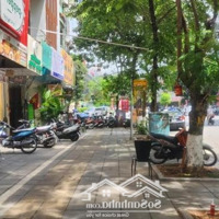 Siêu Phẩm Kinh Doanh Mặt Phố Trần Duy Hưng,Diện Tích100M2X6 Tầng Có Hầm,Mặt Tiền5M. Có Thang Máy Và Thang Bộ