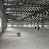 Cho Thuê Xưởng 5000M2 . Kcn Đức Hòa Long An. Mới 100% . Giá Tốt