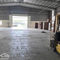 Cho Thuê Kho Bình Chuẩn Thuận An 1.200M2 Đường Xe Cont Có Pccc Đầy Đủ Giá Thuê Chỉ 80 Triệu