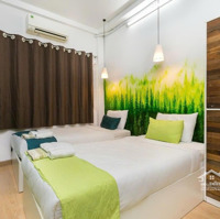 Homestay 7 Phòng Ngủ190/20 Bùi Viện - Khai Thác 8%/Năm Chỉ 5Ty8 Bớt Lộc