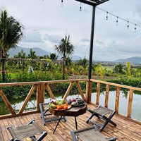 Căn Farm Stay Nghỉ Dưỡng Đã Hoàn Thiện View Đỉnh Đồi Tuyệt Đẹp. Diên Hoà, Diên Khánh