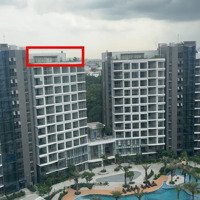 Bán Căn Penthouse Sân Vườn 200M2 4 Phòng Ngủ- View Rừng Xanh- Loại Hiếm , Hàng Cđt Tại Celadoncity