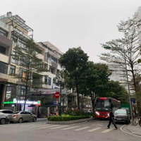 Bán Liền Kề Hd Mon Hàm Nghi, Mỹ Đìnhdiện Tích113Mz, Mặt Tiền 20M. Đường Đôi 2 Chiều,Hoàn Thiện Đẹp