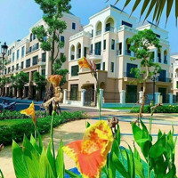 Quỹ Biệt Thự Song Lập Giá Rẻ Đầu Tư Vinhome Ocean Park 2 .Diện Tích120M2 Giá Bán 14 Tỷ Hơn 0966768388