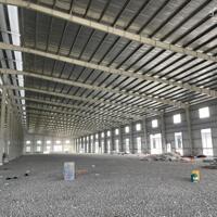 Cho Thuê 2.200m – 3.000m2 – 6.000m2 – 10.000m2 Xưởng Mới Ngoài KCN Bàu Bàng Bình Dương