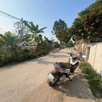 Nhà 4 Tầng Oto Đố Cửa Giá Rẻ Tại Phụng Châu