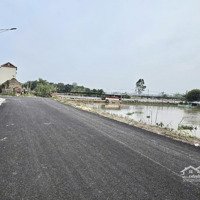 Chưa Có Phương Án Tương Tự Trong Tầm Giá! Bán Đất Ân Thi, Hưng Yên, Đường 15M, 120M2, 3.6 Tỷ