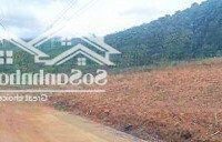 Hot ..Hot! Bán Gấp Đất 500M2 Tại Xã Mê Linh, Lâm Hà, Lâm Đồng, Giá Bán 2 Tỷ Vnd