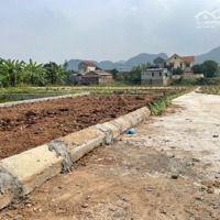 Lô Đất Tại Hà Nội View Sông Cực Hiếm! 65M2 Mt5M Bám Đường Ô Tô! Sẵn Sổ!