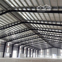 Cho Thuê Kho Xưởng 3500M2 Tại Thuận An, Bình Dương