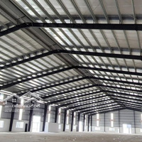 Cho Thuê Kho Xưởng 3500M2 Tại Thuận An, Bình Dương