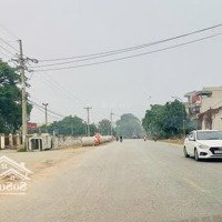 Bán Gấp Đất Mặt Phố Trần Hưng Đạo, Sơn Tây, Cách Thành Cổ 0.3Km Kinh Doanh Đa Ngành Nghề