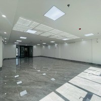Siêu Hót Mp Nguyễn Ngọc Vũ Cầu Giấy 200M2 X 9Tmặt Tiền10M Thông Sàn Thang Máy Hầm Pccc Đầy Đủ, 180 Triệu/Th