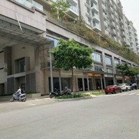 Cho Thuê Shophouse Sarina Vị Trí Đẹp - 1 Trệt 2 Lầu Giá Bán 95 Triệu Hoàn Thiện