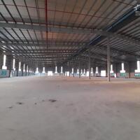 Cho thuê khuôn viên 20.000m2 nhà xưởng tại Hải Dương