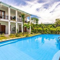 Cho Thuê Villa 4 Tầng - Hồ Bơi - Sơn Trà