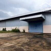 Cho thuê kho xưởng 1000m2 đến 20.000m2 trong các KCN Nhơn Trạch 1,2,3,5 và 6, Nhơn Trạch, Đồng Nai