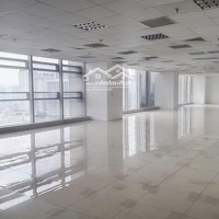 Cho Thuê Văn Phòng Tại Thái Hà, Hoàng Cầu, Đống Đa, Hà Nội. Diện Tích 80M2, 100M2, 150M2, 300M2,