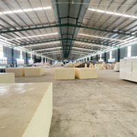 Cho Thuê Xưởng Sản Xuất Nằm Trong Kcn Bình Định 46.000M2