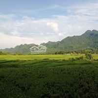 Tổngdiện Tích1,9Ha Trong Đó Có 1300M Thổ Cư+ 3100M Đất Cln, Còn Lại Là Đất Rsx Tại Kim Bôi -Hoà Bình.