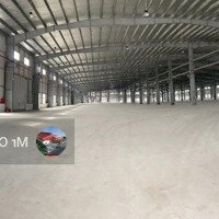 Công Ty An Vượng Cho Thuê Kho Xưởng, Diện Tích: 1500M2, 3000M2, 7000M2, 15000M2 Tại Văn Giang, Hưng Yên